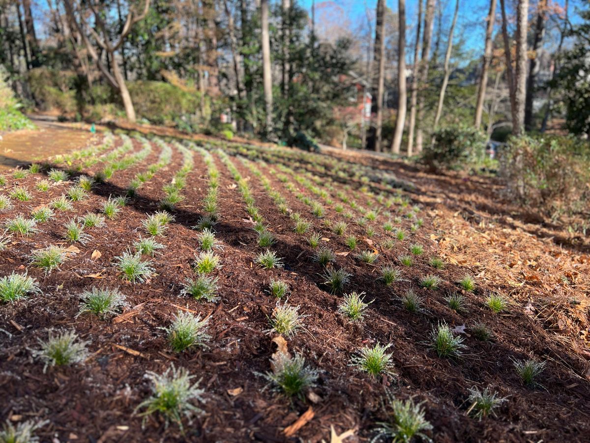 Erosion Control / Water Management for Christina King Landscape Design in West Raleigh, NC