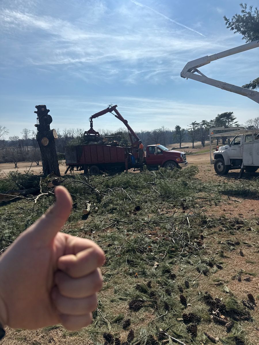 Tree Removal for Lucky’s Tree Removal and Landscape Services in Clinton, TN
