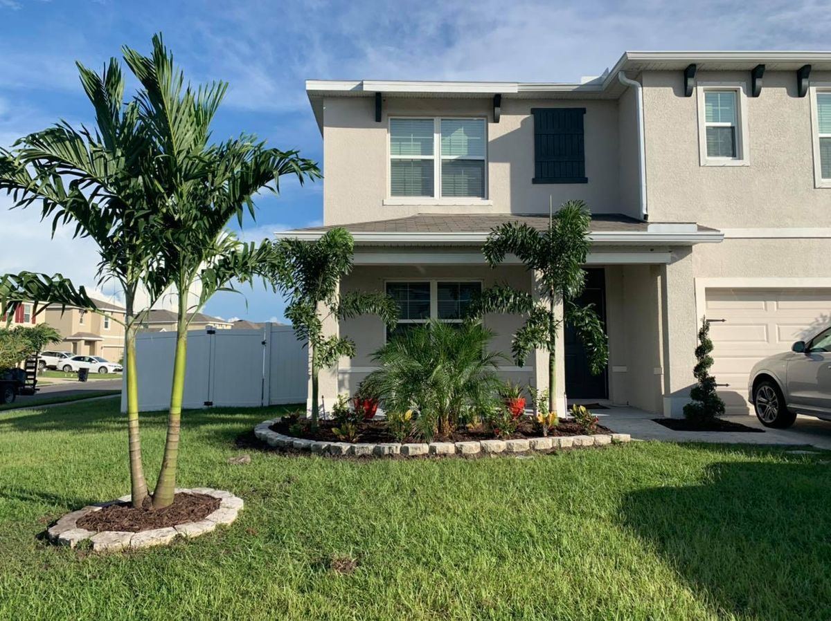 Palm and Trees for Plant World LLC in Cape Coral, FL