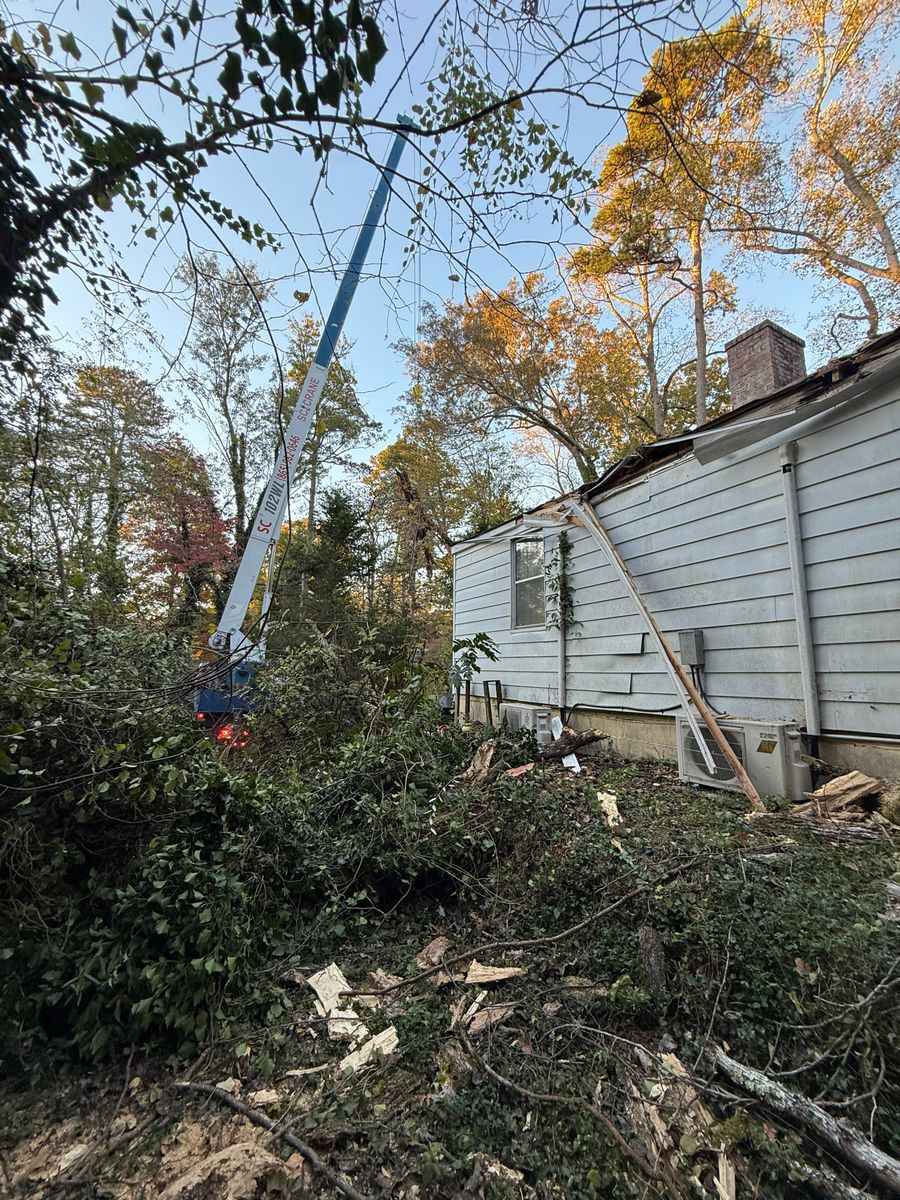 Tree Removal for Lucky’s Tree Removal and Landscape Services in Clinton, TN