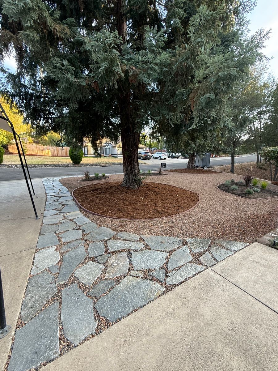 Landscape Installation for Diamond Landscape & Hardscape in Diamond Springs, CA