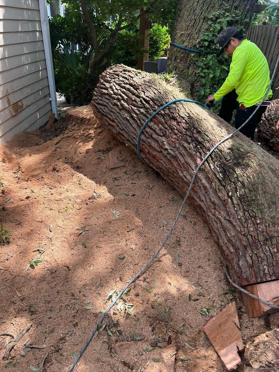 Tree Removal for Hawkins Tree Service & Land Management in Richmond Hill, GA