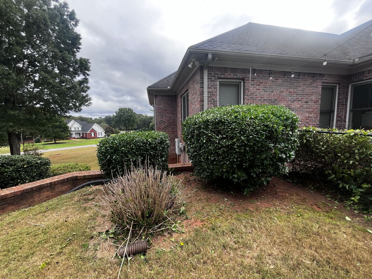 Tree & Shrub Care for Southern Outdoors Landscaping in Covington, GA