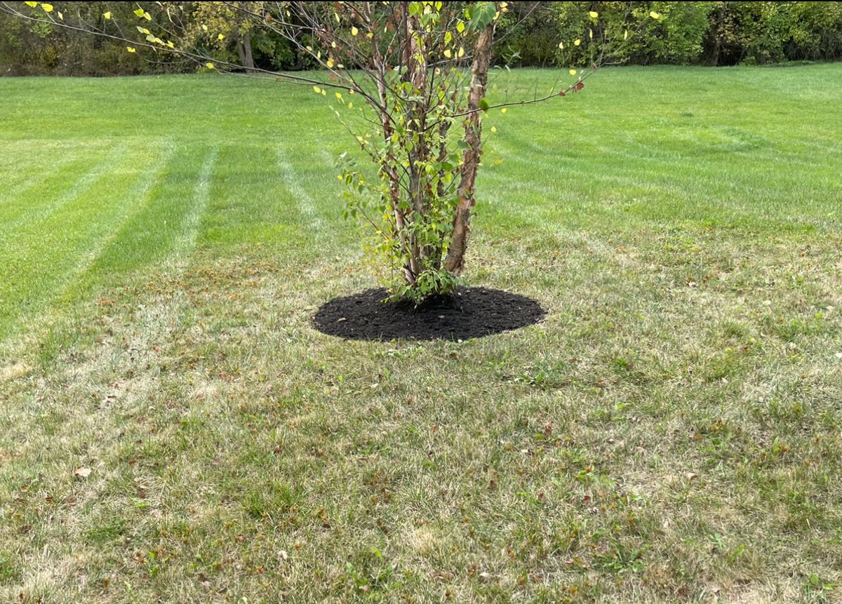 Mulch Installation for Clean Green Lawns LLC in Dayton, OH