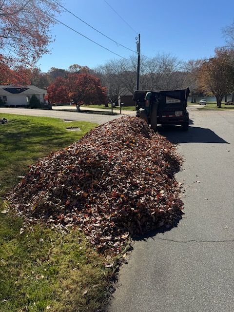 Fall Clean Up for Reiser Lawn Service in Denver, North Carolina