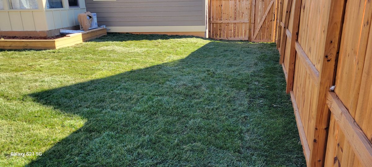 Sod installation for C4 TrueVision Renovations in Asheville, NC