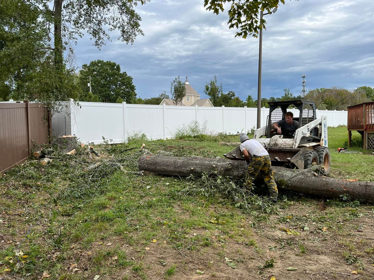 Tree Removal for DW’s Tree Service in Winston-Salem, NC