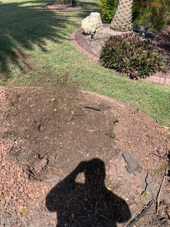 Tree Removal for R.B. & Company in Belleview, FL