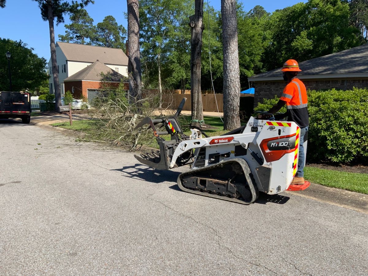 Tree Services for Broadway & McMullen Construction in Hattiesburg, MS