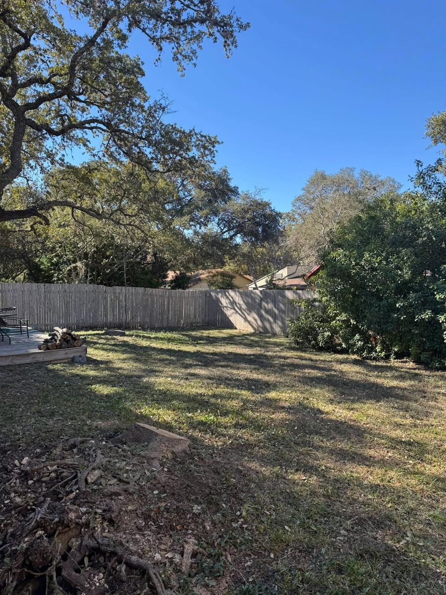 Fall Clean Up for Z’s Trees LLC in Grey Forest, TX