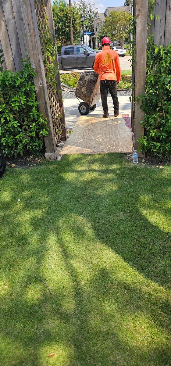 Fall Clean Up for Servin's Tree Care  in Houston, TX