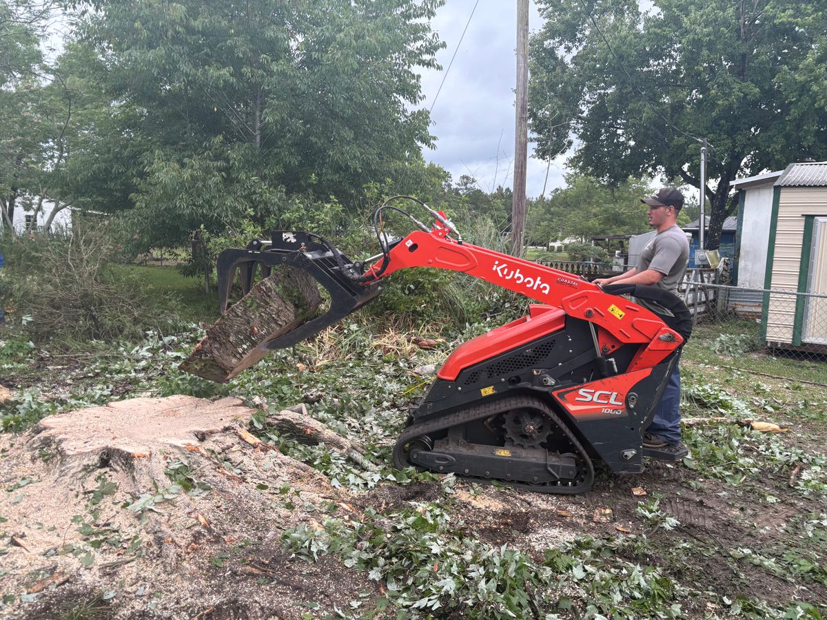 Stump Removal for Top Notch Tree Experts in Orange Park, FL