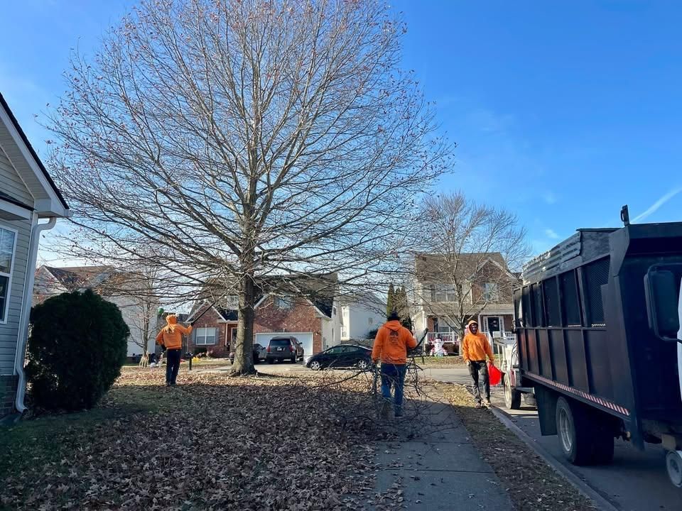 Tree Removal for Ross Family Tree Service LLC  in Hohenwald, TN