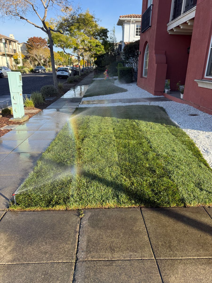 Landscaping for CBA Landscaping in Hayward, CA