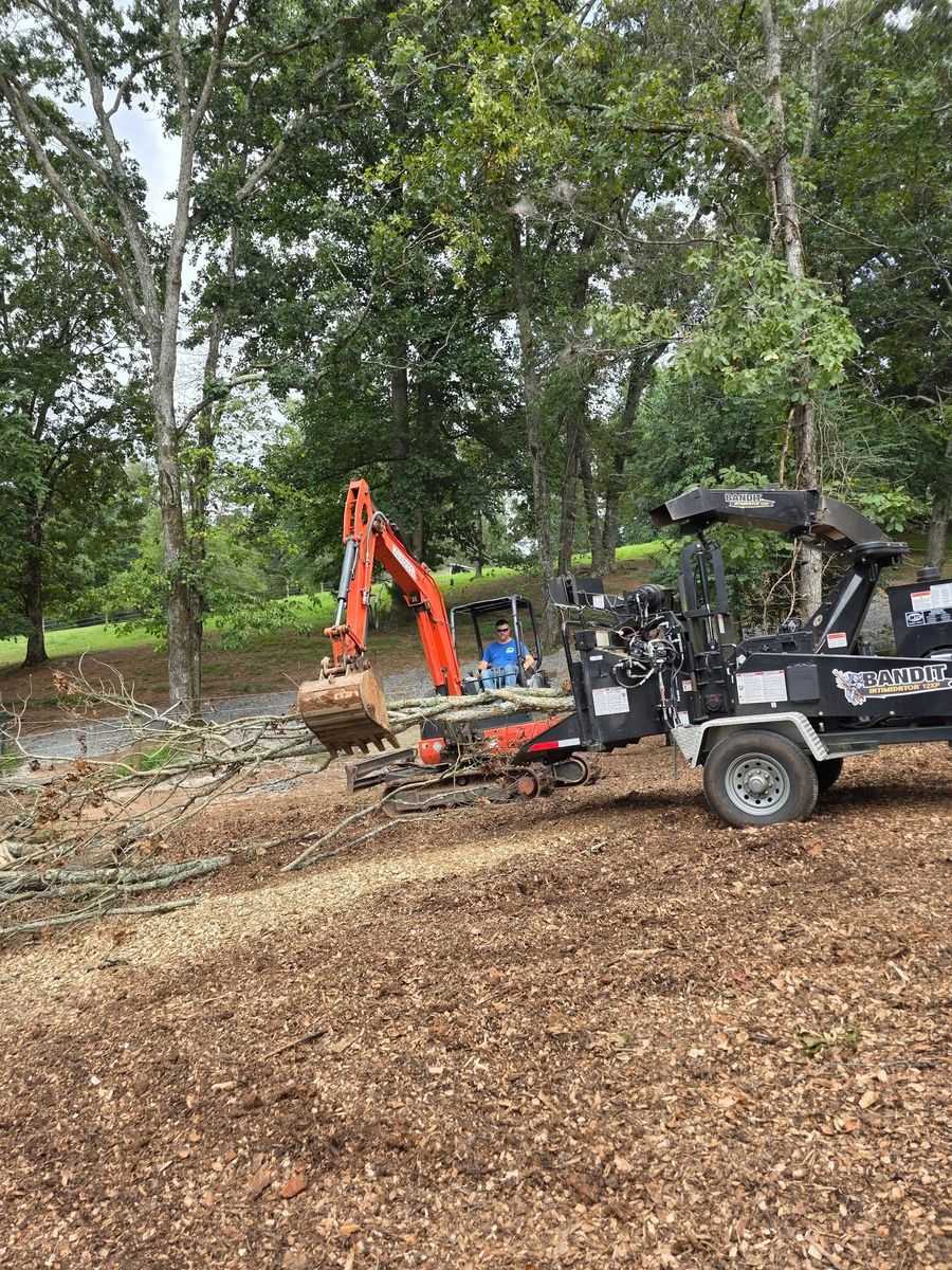 Tree Trimming & Removal for Bobcat Bob in Clermont, GA