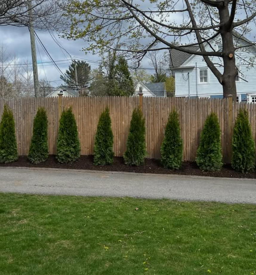 Landscaping & Property Management for G & T Development in New Canaan, CT