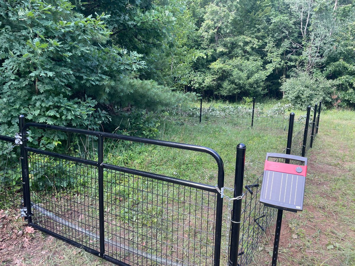 Automatic Gates and Openers for TMF Services in Lapeer County, MI