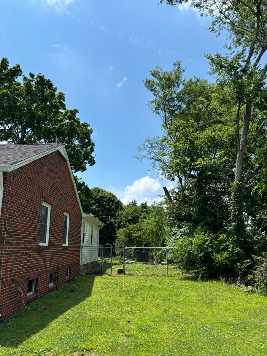 Tree Trimming for SEALY TREE and LAWN in Cleveland, TN