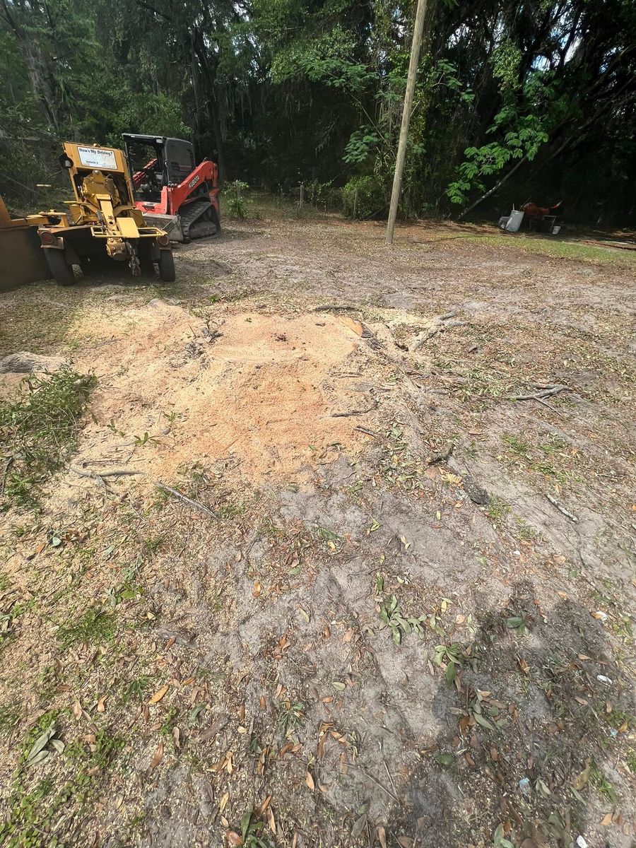 Land Clearing for B&C Tree Trimming Services in Jasper, FL