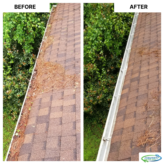 Gutter Cleaning for Perfect Pro Wash in Oxford, AL