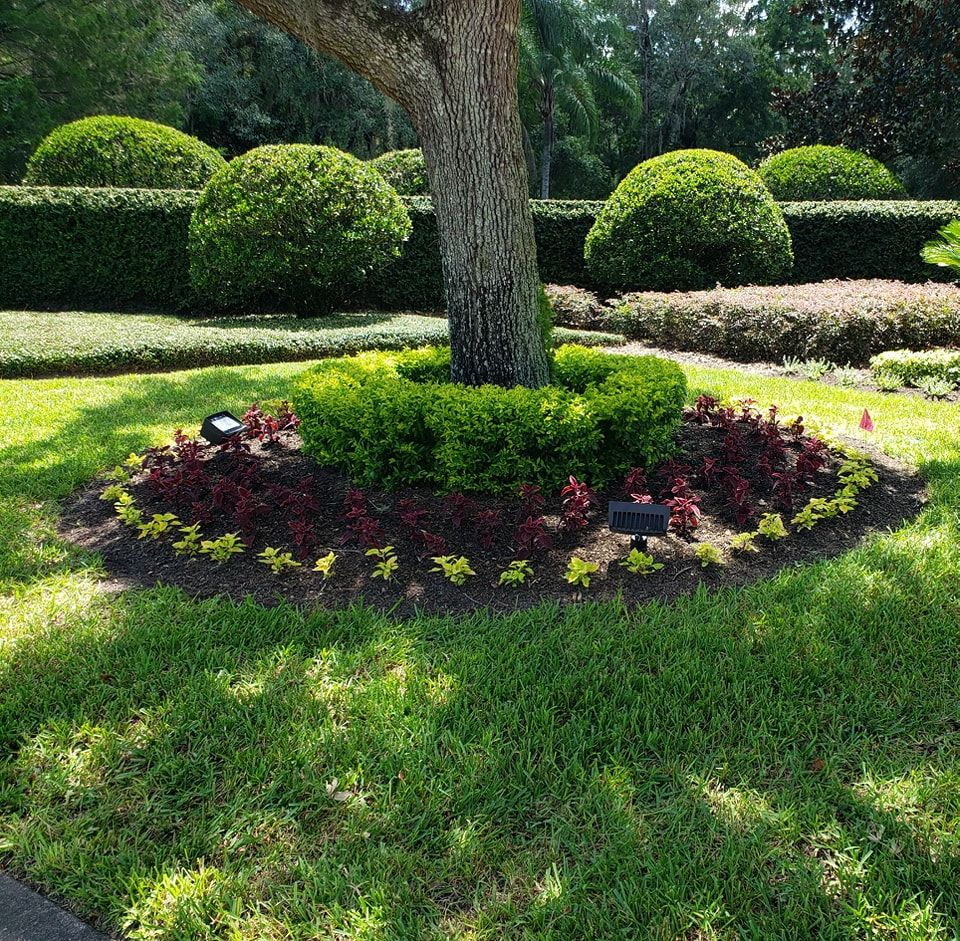 High Octаne Pipes for Sam's French Drains and Landscape in Orlando, Florida