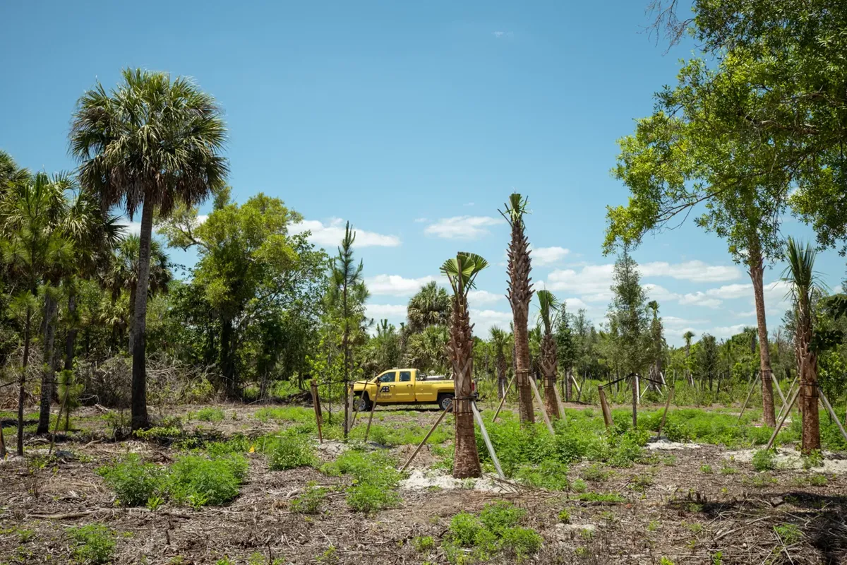 Maintenance for Arazoza Brothers Corporation in Miami, FL