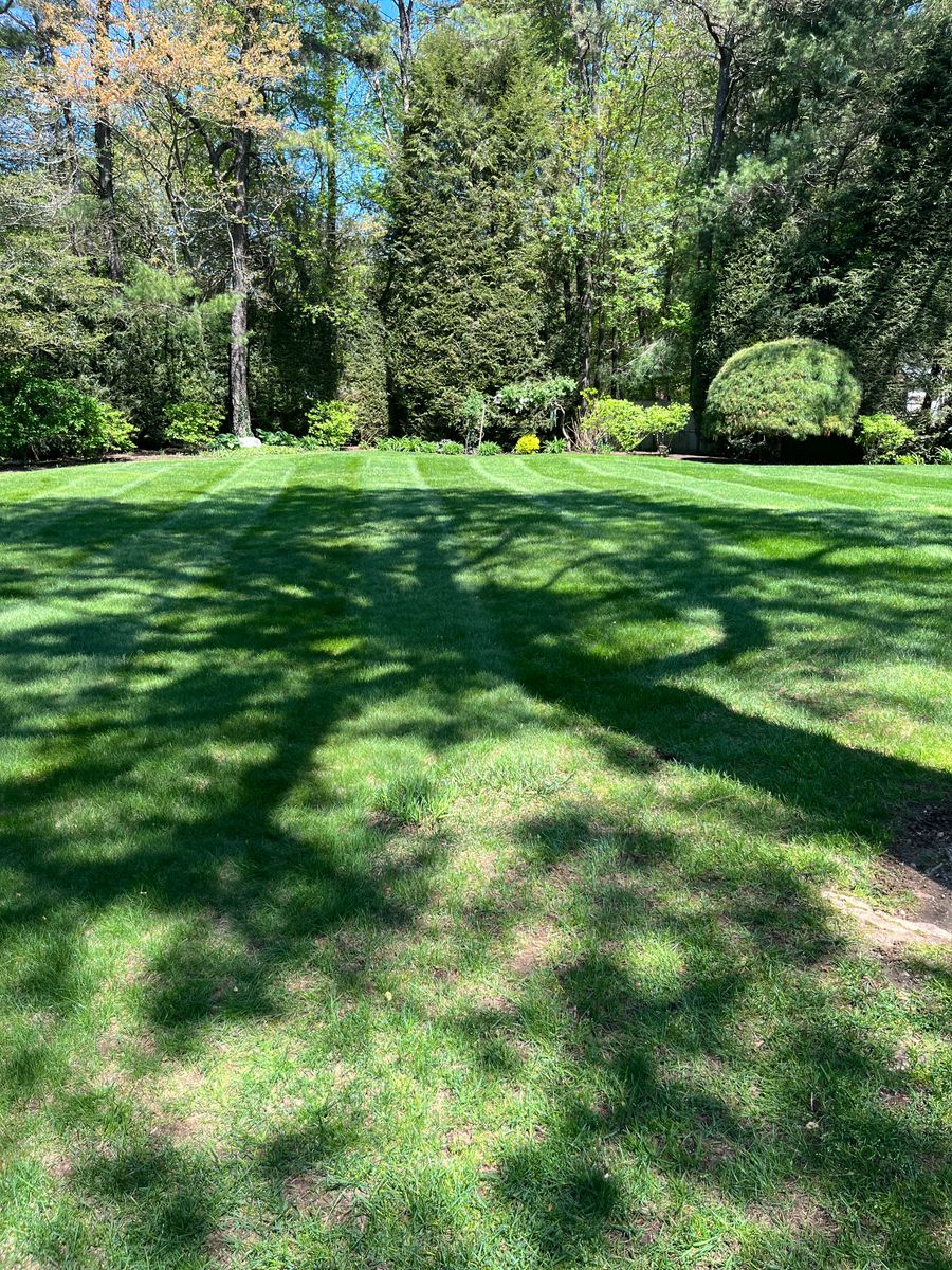 Mowing for Evolution Landscaping and Construction  in Charlestown, RI
