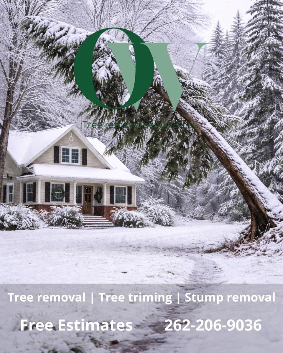 Stump Removal for Oakwood Tree Removal LLC in Oak Creek,  WI