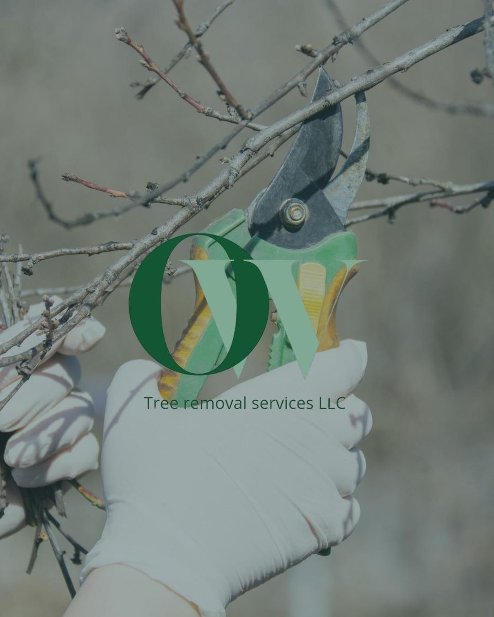 Tree Removal for Oakwood Tree Removal LLC in Oak Creek,  WI