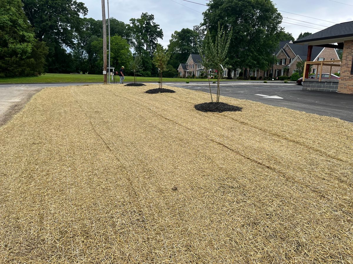 Landscape and landscape design for J.P Landscaping and Excavation in Chattanooga, TN