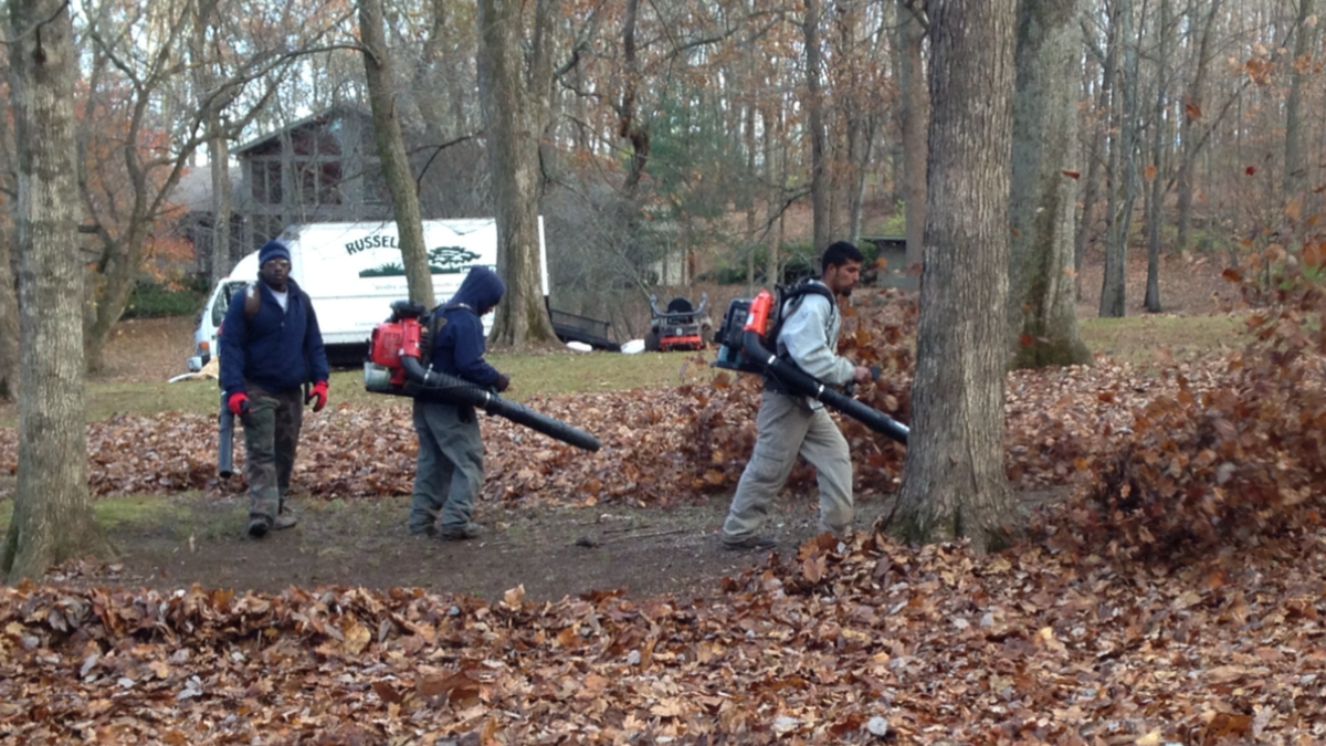 Fall Clean Up for Russell's Lawn Care Plus in Nashville, TN