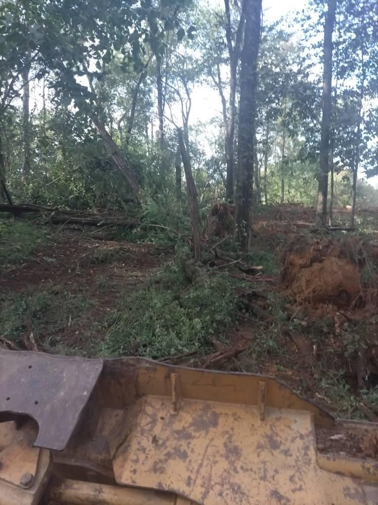 Land Clearing & Demolition for King of Dirt in Cornersville, TN