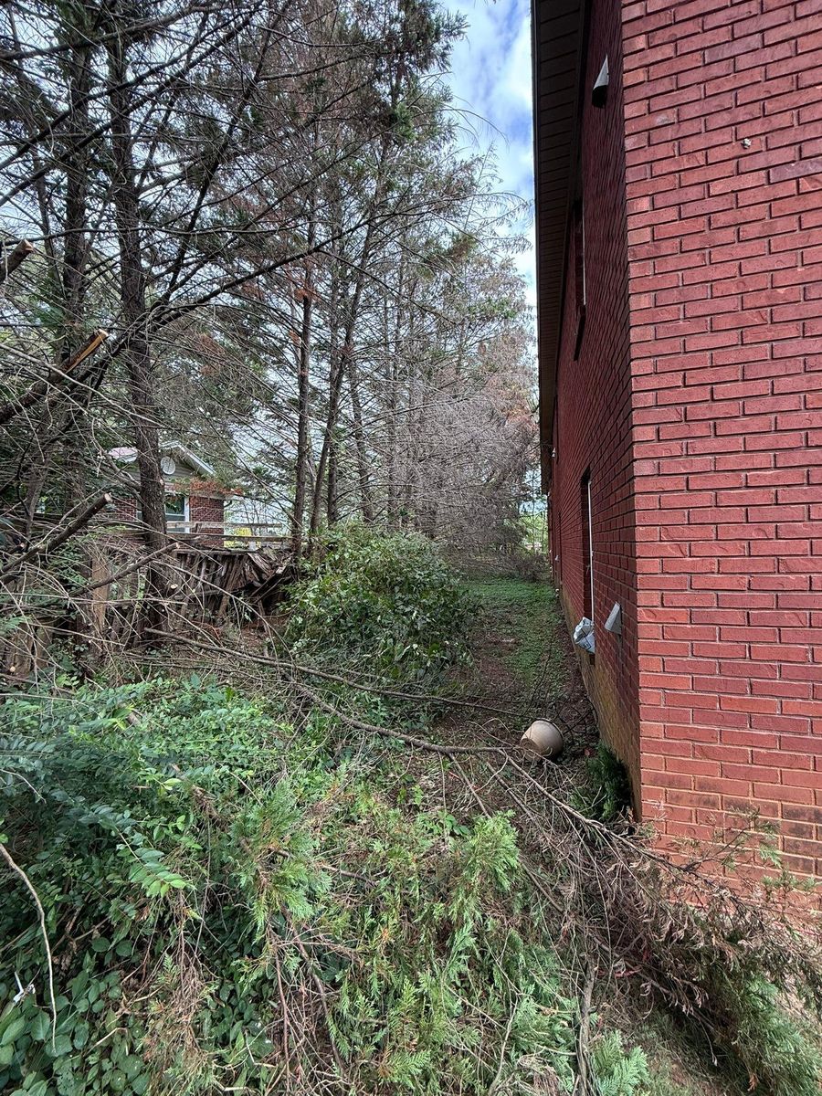 Tree Trimming & Removal for Mud Creek Vegetation Management in Russellville, AL