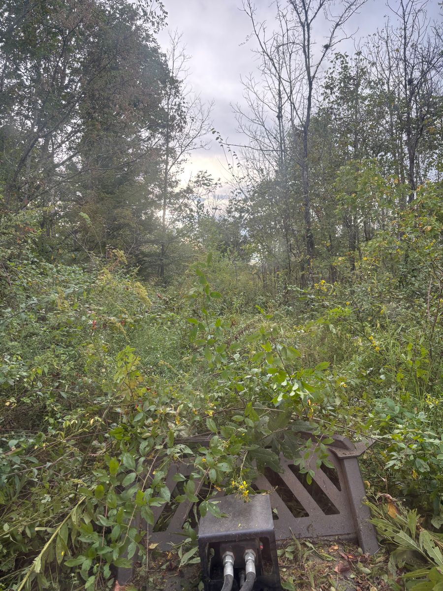 Land Clearing for Gregory Grass and Lawn in Lafayette, TN