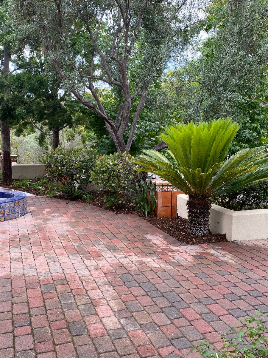 Lawn Maintenance for Herreras Land Service in San Diego, CA