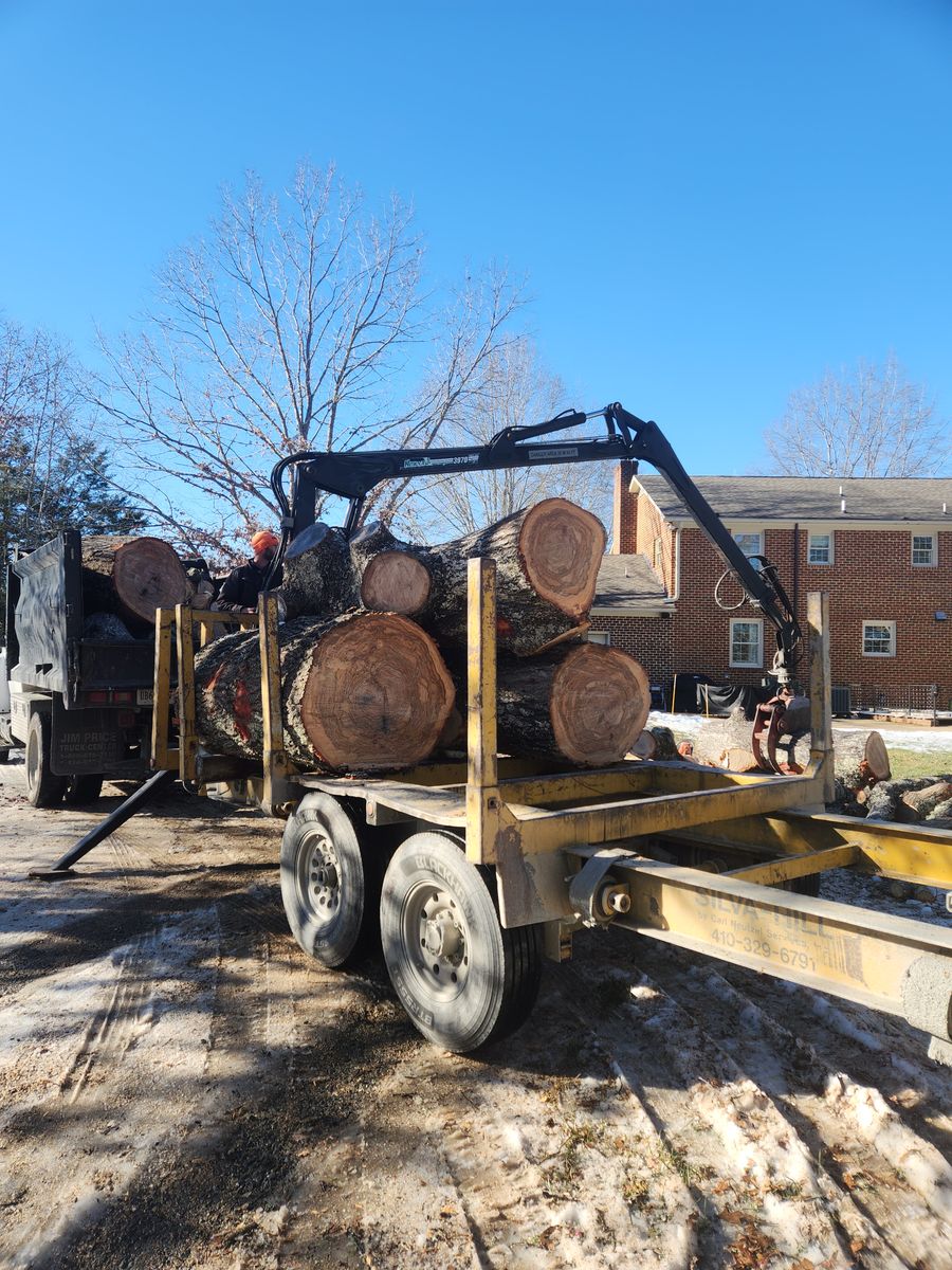 Emergency services and Storm Damage for Smith Tree Experts in Palmyra, VA