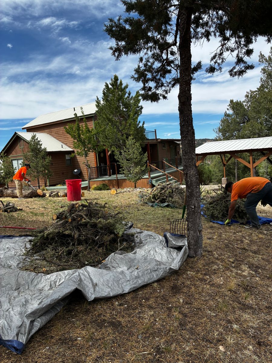 Weeding for G&B Yard Service in Ruidoso Downs, NM