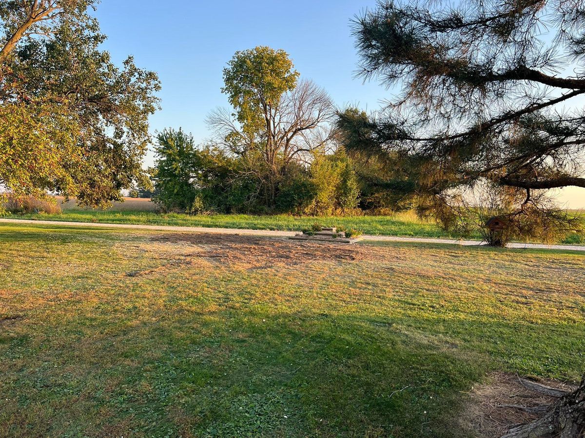 Stump Grinding for Baker Professional Services LLC in Shelbina, MO