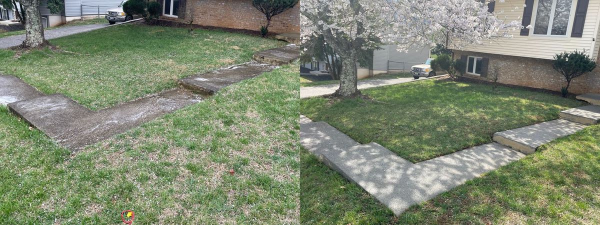 Other Services for Roanokes #1 Choice for Premium Pressure Washing in Roanoke, VA