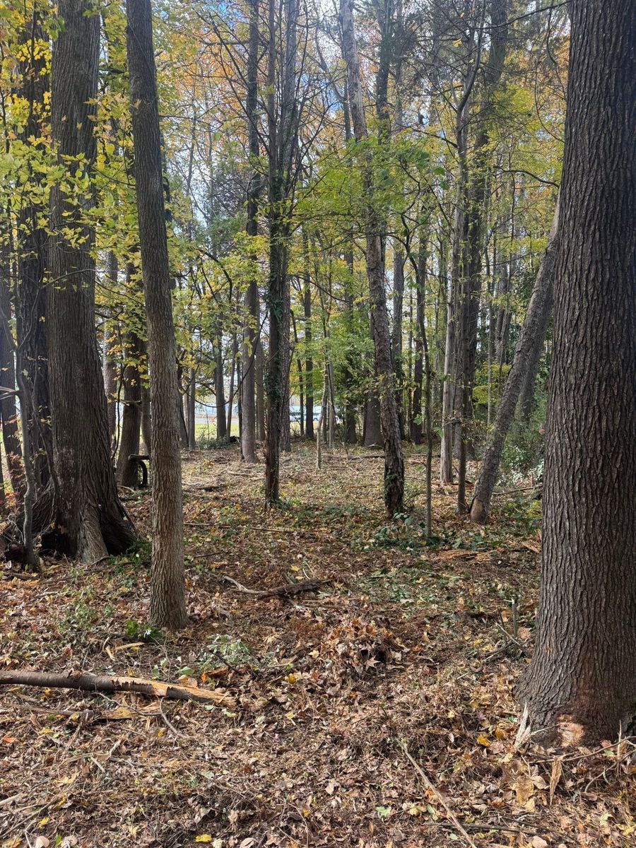 Lot Clearing for Southern Turf & Landscape in Concord, NC