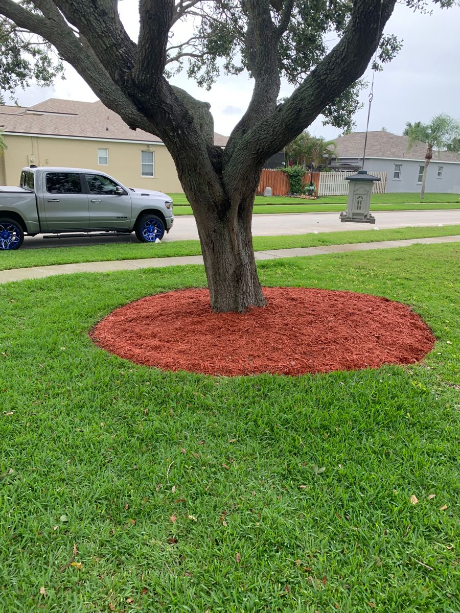 Landscaping & Outdoor Design for Space Coast Property Maintenance and Management LLC in Melbourne, FL
