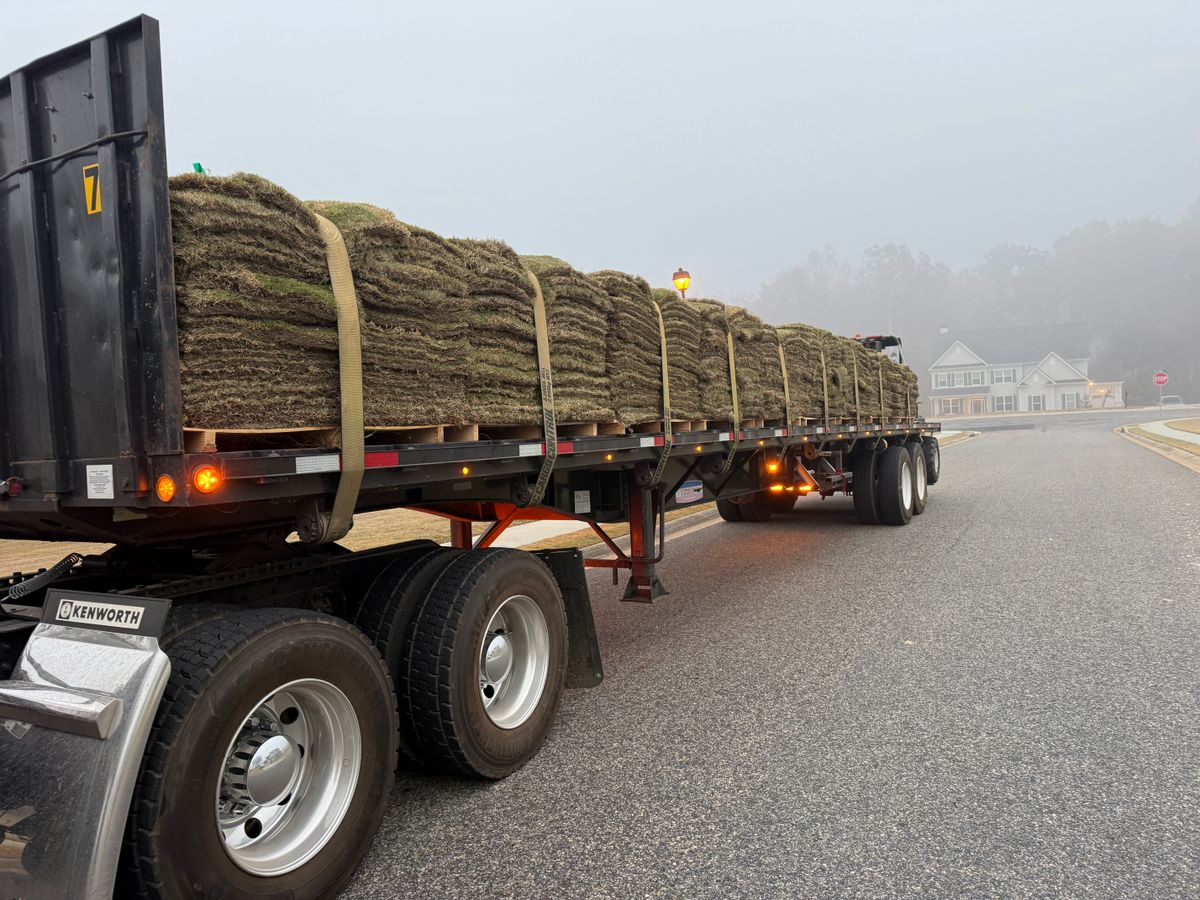 🌿 Residential Lawn Care Services for GA Lawn Care Pros in Jefferson, GA