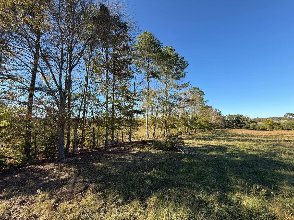 Land Clearing for Mud Creek Vegetation Management in Russellville, AL