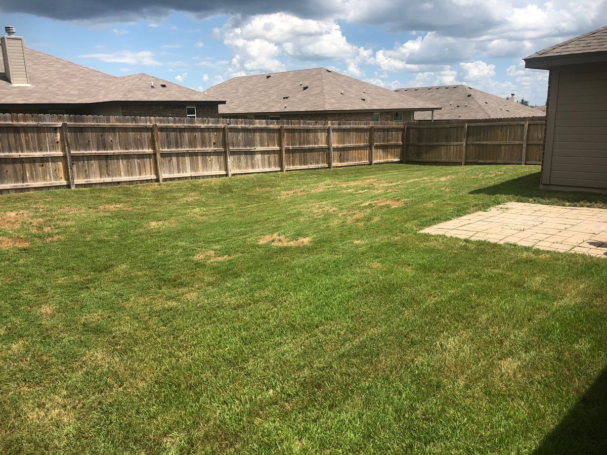Commercial Lawn Care for D’s Lawncare in Killeen, TX
