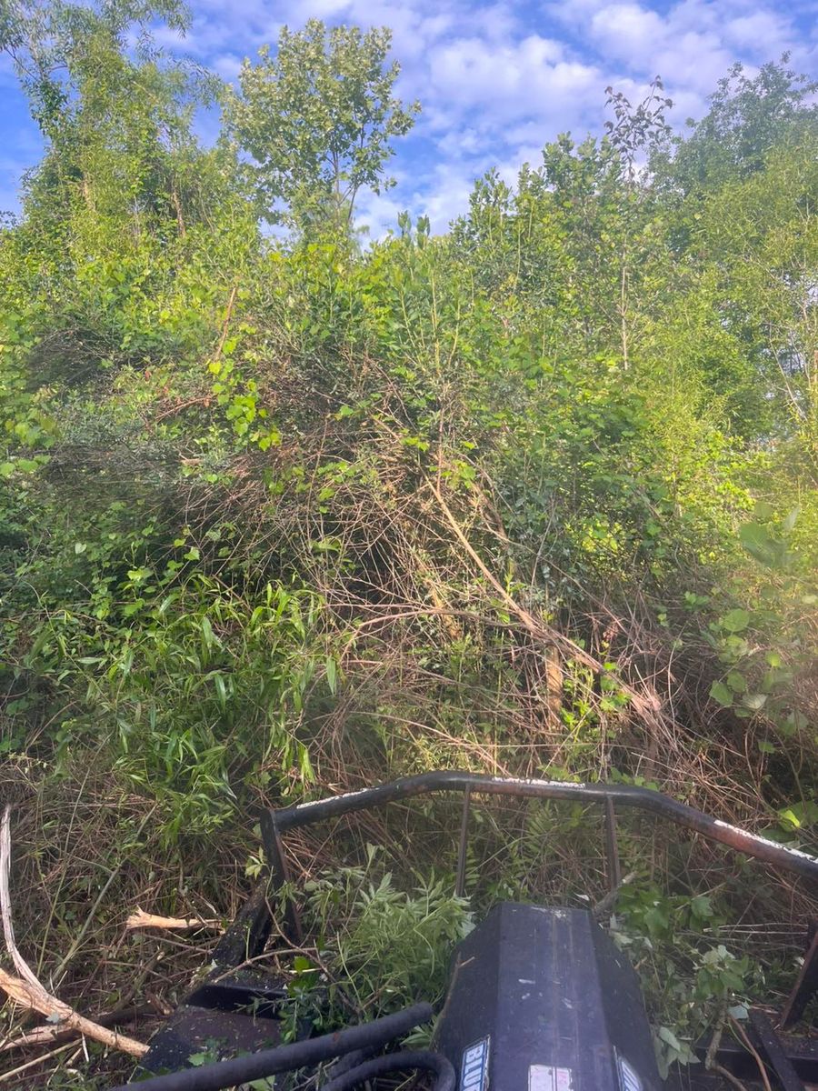 Stump Grinding and Removal for Pinewood Land Management LLC in Nashville, GA