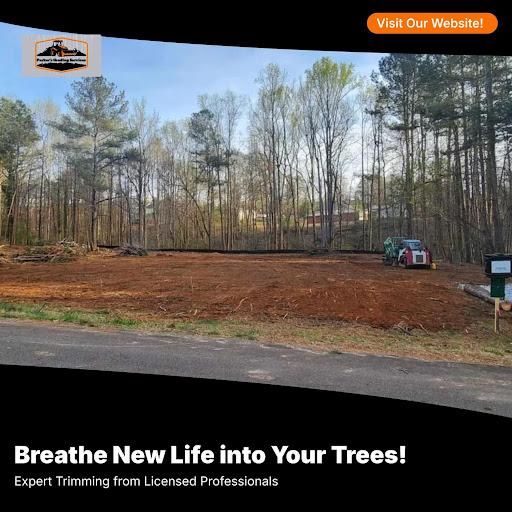Land Clearing for Parker's Grading Services in Sautee Nacoochee, GA