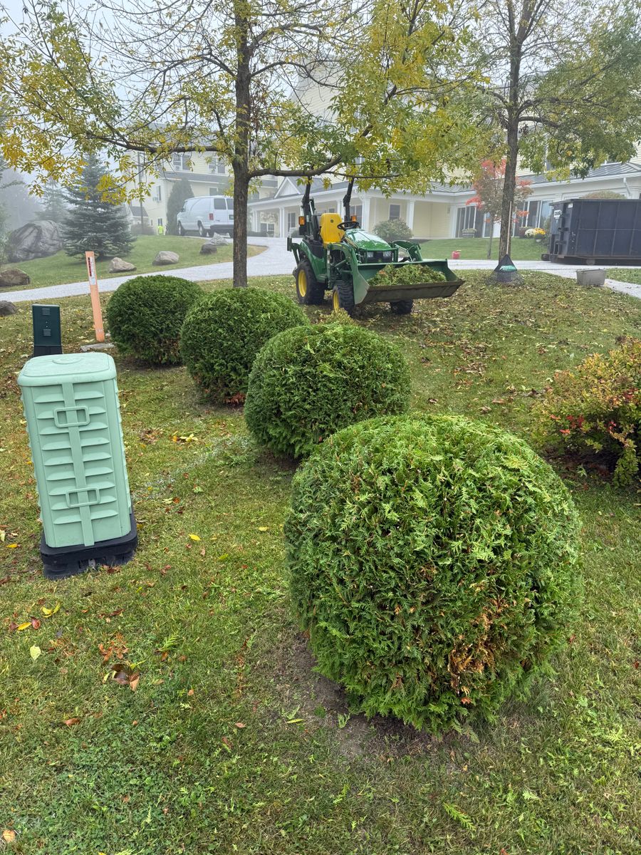 Tree Removal and Hedge Trimming for Bishop’s Property Maintenance in Franklin, VT
