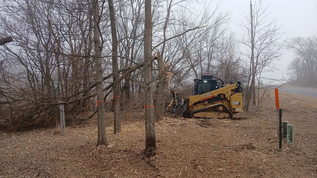 Land Clearing for Willing Trucking & Excavating in Evansville, WI