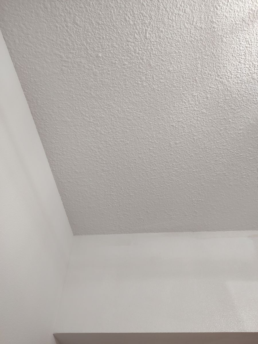 Plaster Repair and Painting for Finishing Touches in Morris, MN