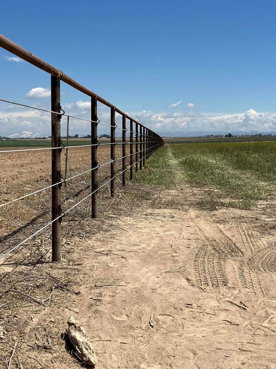 Agricultural Fencing for TK Welding Services in Castleford, ID